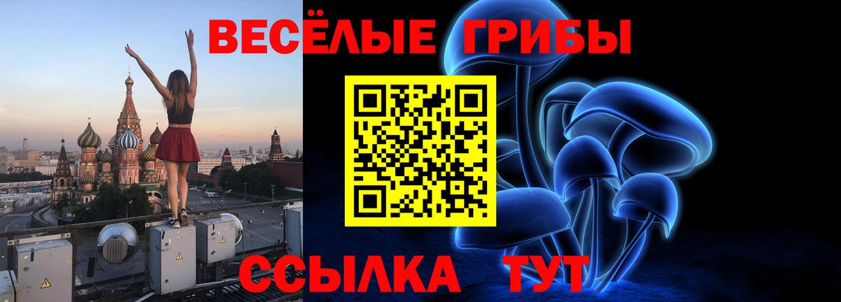 Галлюциногенные грибы GOLDEN TEACHER  Галлюциногенные грибы Magic Shrooms  Вход с VPN  Шелехов 